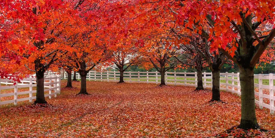 Colts Neck, New Jersey
