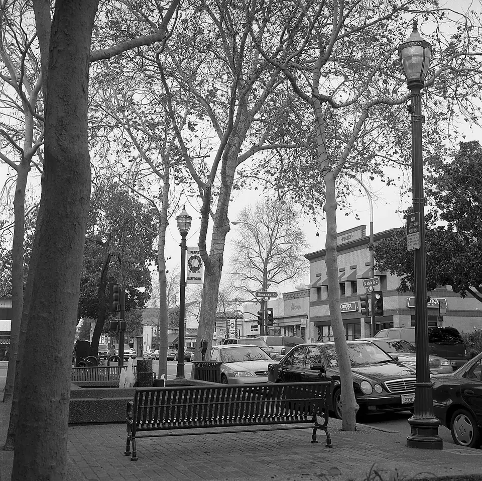 Walnut Creek, California