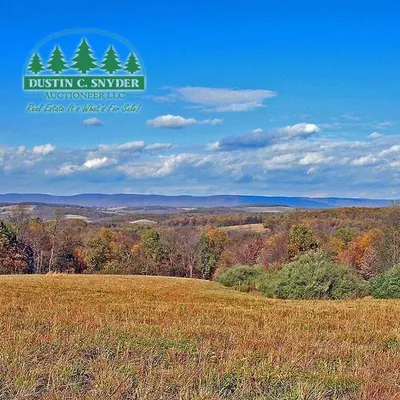 Dustin C. Snyder Auctioneer/Realtor logo