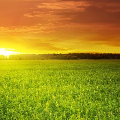 Farmland Realty logo