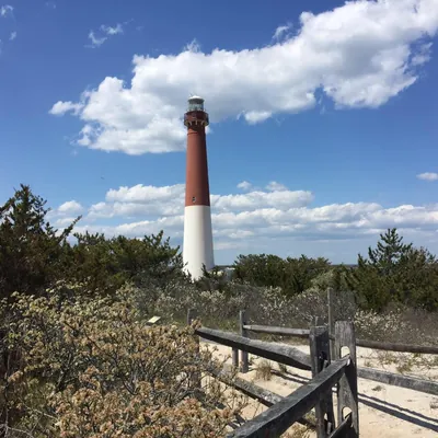 LBI Real Estate logo
