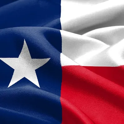 Lone Star Real Estate logo