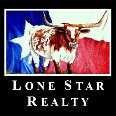 Lone Star Realty logo