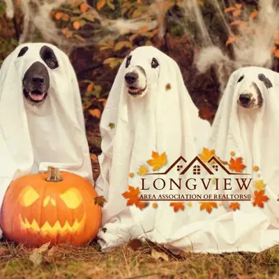 Longview Area Association of Realtors logo