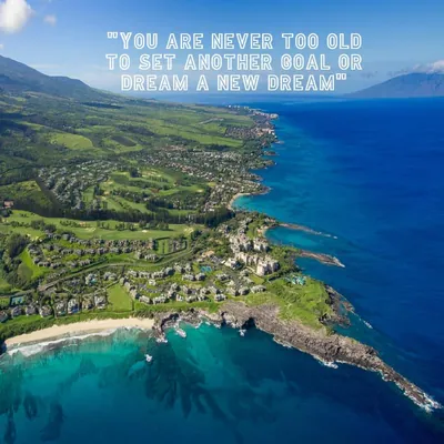 Maui Homes Guide-Anthony Freda profile photo