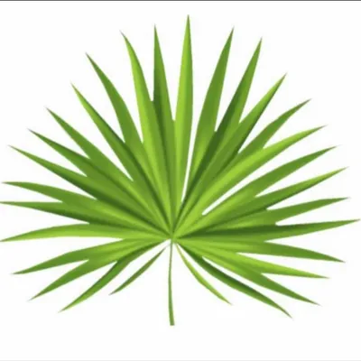 Palm Realty logo