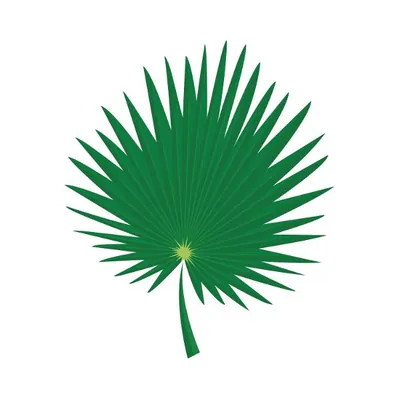 Palmetto Realty logo