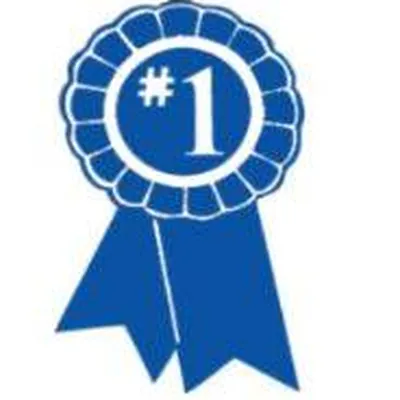 Realty One Enterprises LLC logo