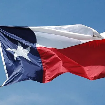 Texan Realtors logo