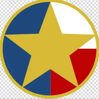 Texas Realty logo