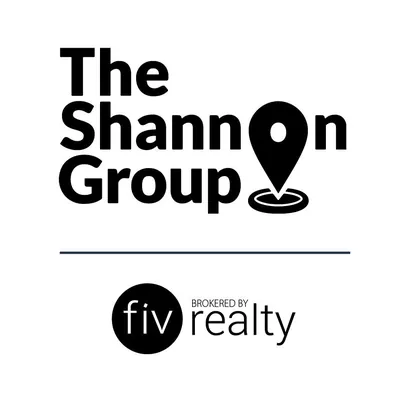 The Shannon Group logo