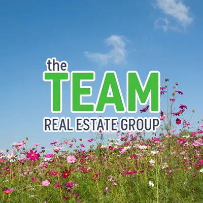TheTeam Real Estate Group logo