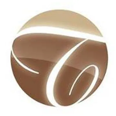 Traditions Real Estate Group logo