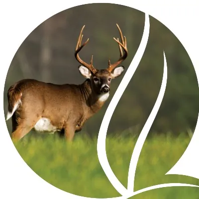 United Country McDaniel-Gray Realty logo